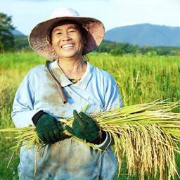 agricultural