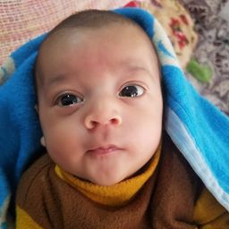 Ahmad Hanafi  avatar