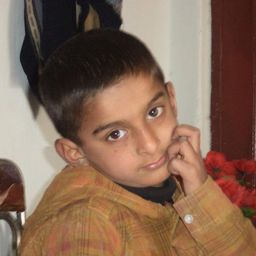 Shammi Ansari avatar