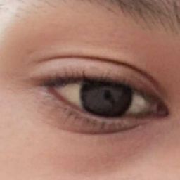 AIDIL avatar