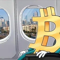 Airdropcu avatar
