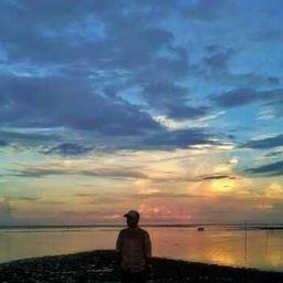ajibsingh avatar