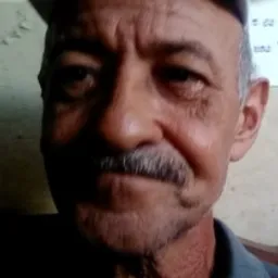 albert01 avatar