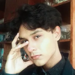ale5080tj avatar