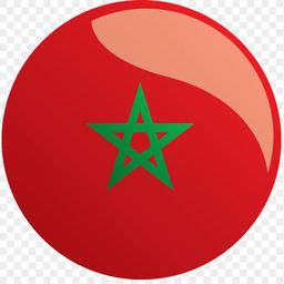 alinyous avatar