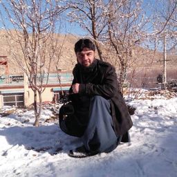 Ali Kakar avatar