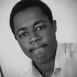 Ali I. Lansah avatar