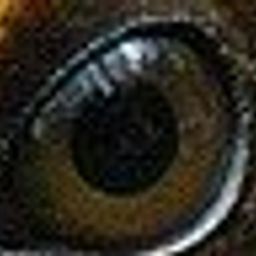 Stryder Bowes avatar
