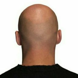alpayabotak avatar