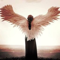 angelll avatar