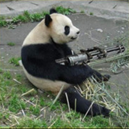 PandaLoky avatar