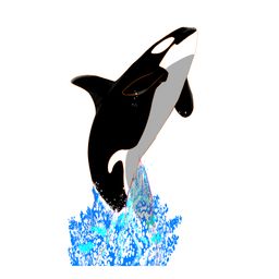 앤글 avatar