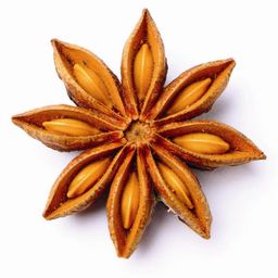 Anise avatar