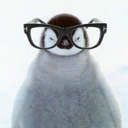 Anderson avatar