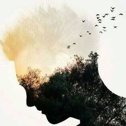 annycor avatar