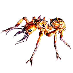 Ant Droid avatar