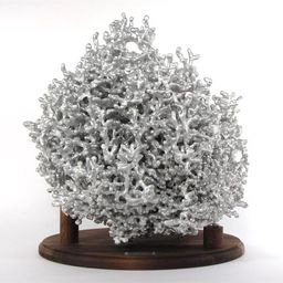 Anthill Art avatar