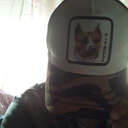 martin avatar