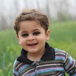 anwarulhaq