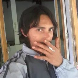 apa.him avatar