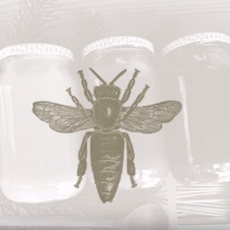 apismellifera avatar