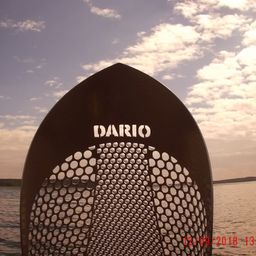 DARIO avatar