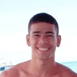 Henrique Araujo avatar