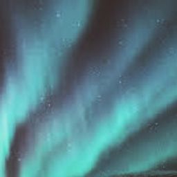 arcticgypsy avatar