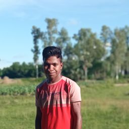 MD : Ariful Islam avatar