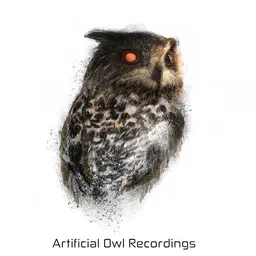 ArtificialOwlRecords avatar