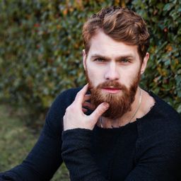 askdavid