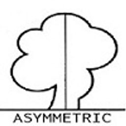 asymmetric92 avatar