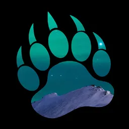The Polar Bear avatar