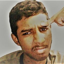 Austin Biswas avatar