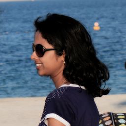 Voyagers avatar