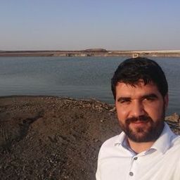 avzem21 avatar