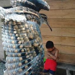 ayyub