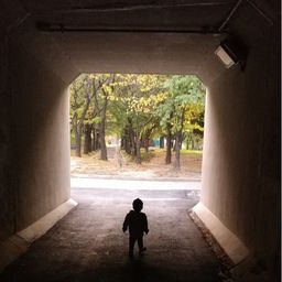새싹이 avatar