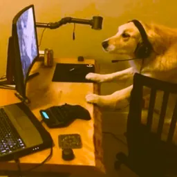 badpupper avatar