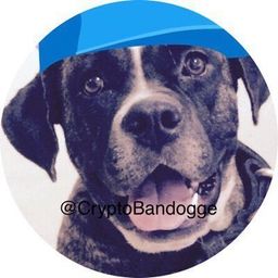 bandogge avatar