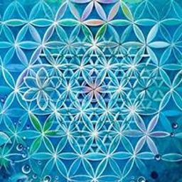 B E A R avatar