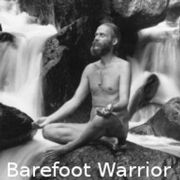 Barefoot Warrior avatar