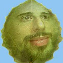 Andrea Gabrieli avatar