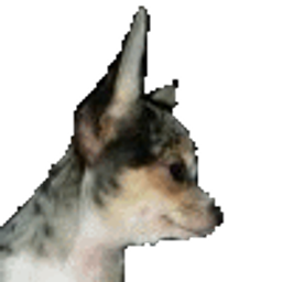 bashadow avatar