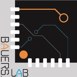 Bauer's Lab