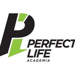 Perfect Life avatar