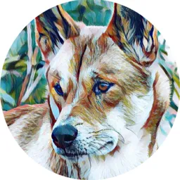 Ben North avatar