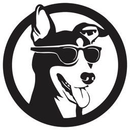 BDoGPlay avatar