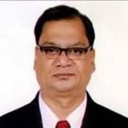 Md Showkat Hossain avatar