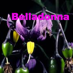 Deadly Nightshade avatar